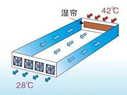 降温湿帘案例